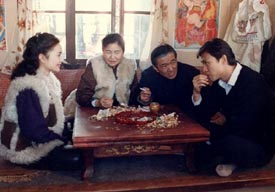 The Spring Festival (1991)