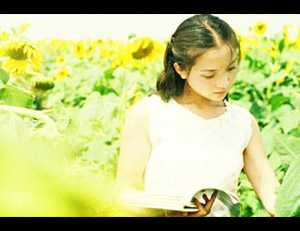 葵花朵朵 (2005)