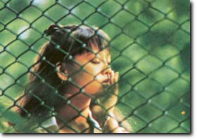 贏家 (1995)